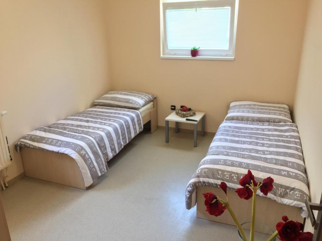 TimeOut MiniHostel room 1