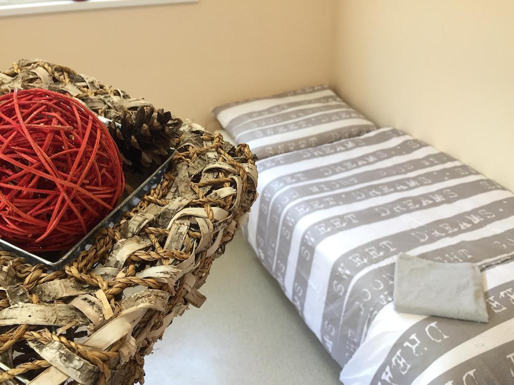 TimeOut MiniHostel room 2