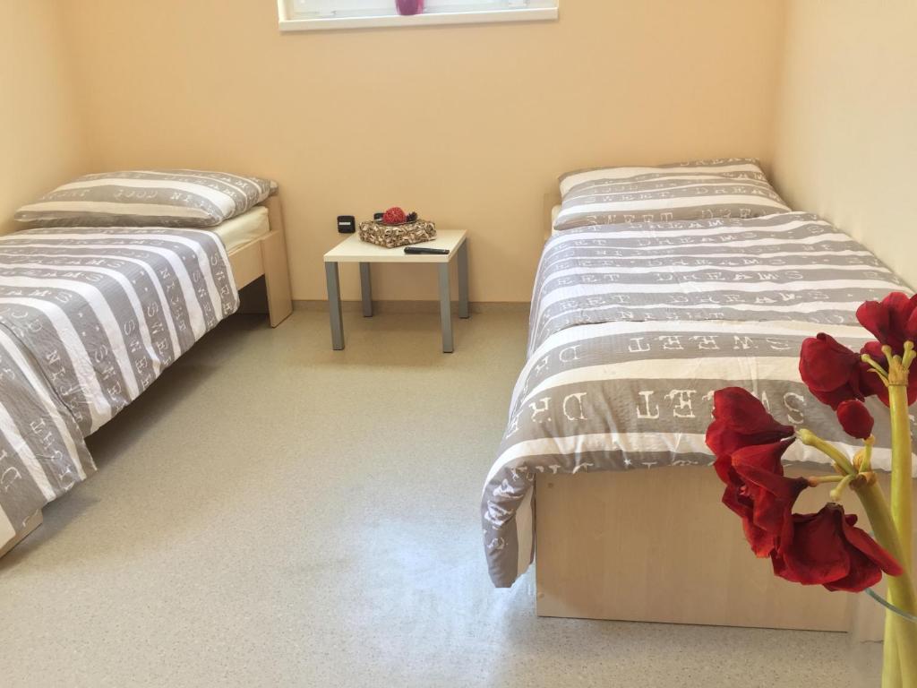 TimeOut MiniHostel room 4